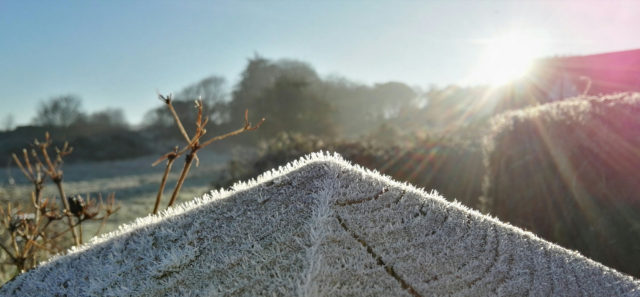 Frost on a wooden post in sunlight