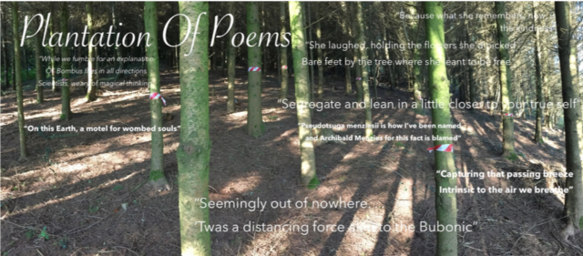 Plantation of Poems, image credit: Courage Copse Creatives
